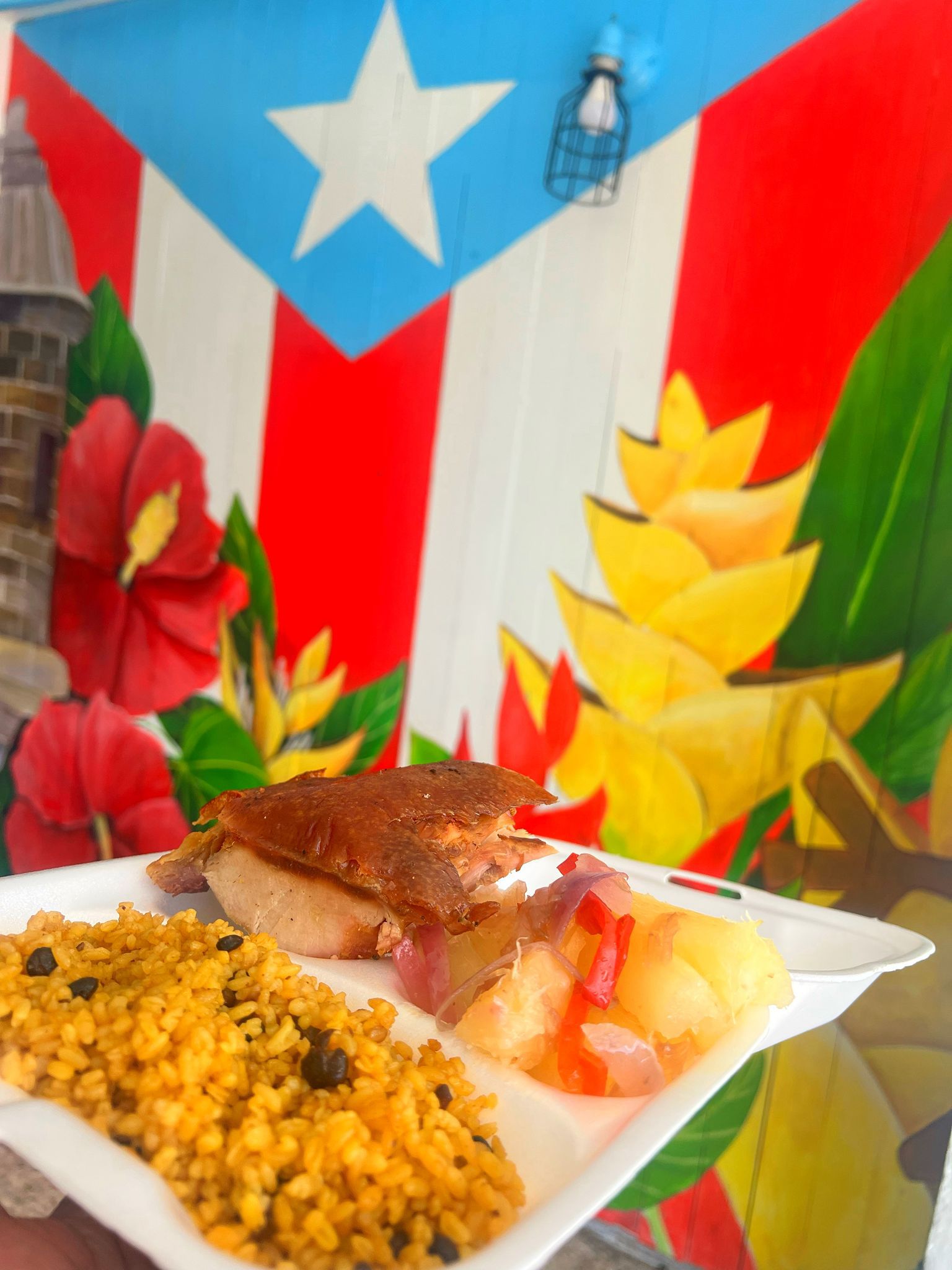 Plato de lechón, arroz y ensalada ante un mural de Puerto Rico